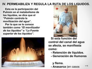 16
IV. PERMEABILIZA Y REGULA LA RUTA DE LOS LIQUIDOS.
Esta es la participación del
Pulmón en el metabolismo de
los líquidos, se dice que el
“Pulmón controla la
movilización del agua”.
Por lo que se le conoce
también como “El movilizador
de los líquidos” o “La Fuente
superior de los líquidos”.
Si esta función del
control del canal del agua
se afecta, se manifiesta
como:
- Retención de líquidos.
- Generación de Humores
y flema.
- Anasarca (en casos
 