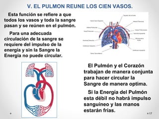 17
V. EL PULMON REUNE LOS CIEN VASOS.
Esta función se refiere a que
todos los vasos y toda la sangre
pasan y se reúnen en el pulmón.
Para una adecuada
circulación de la sangre se
requiere del impulso de la
energía y sin la Sangre la
Energía no puede circular.
El Pulmón y el Corazón
trabajan de manera conjunta
para hacer circular la
Sangre de manera optima.
Si la Energía del Pulmón
esta débil no habrá impulso
sanguíneo y las manos
estarán frías.
 
