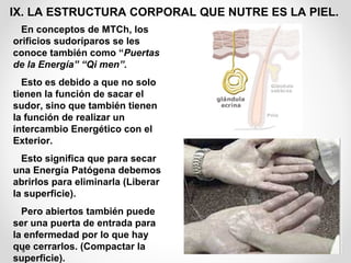 27
IX. LA ESTRUCTURA CORPORAL QUE NUTRE ES LA PIEL.
En conceptos de MTCh, los
orificios sudoríparos se les
conoce también como “Puertas
de la Energía” “Qi men”.
Esto es debido a que no solo
tienen la función de sacar el
sudor, sino que también tienen
la función de realizar un
intercambio Energético con el
Exterior.
Esto significa que para secar
una Energía Patógena debemos
abrirlos para eliminarla (Liberar
la superficie).
Pero abiertos también puede
ser una puerta de entrada para
la enfermedad por lo que hay
que cerrarlos. (Compactar la
superficie).
 