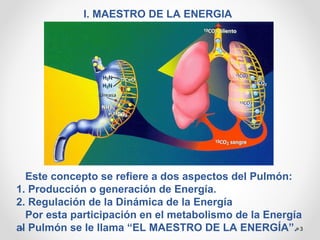 3
I. MAESTRO DE LA ENERGIA
Este concepto se refiere a dos aspectos del Pulmón:
1. Producción o generación de Energía.
2. Regulación de la Dinámica de la Energía
Por esta participación en el metabolismo de la Energía
al Pulmón se le llama “EL MAESTRO DE LA ENERGÍA”.
 