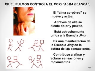 32
XII. EL PULMON CONTROLA EL PO O “ALMA BLANCA”.
El “alma corpórea” se
mueve y actúa.
A través de ella se
siente dolor y prurito.
Está estrechamente
unida a la Esencia Jing.
Es una manifestación de
la Esencia Jing en la
esfera de las sensaciones.
Contribuye a afinar y
aclarar sensaciones y
movimientos.
 