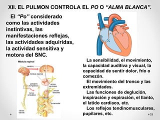 33
XII. EL PULMON CONTROLA EL PO O “ALMA BLANCA”.
El “Po” considerado
como las actividades
instintivas, las
manifestaciones reflejas,
las actividades adquiridas,
la actividad sensitiva y
motora del SNC.
La sensibilidad, el movimiento,
la capacidad auditiva y visual, la
capacidad de sentir dolor, frío o
comezón.
El movimiento del tronco y las
extremidades.
Las funciones de deglución,
inspiración y espiración, el llanto,
el latido cardiaco, etc.
Los reflejos tendinomusculares,
pupilares, etc.
 