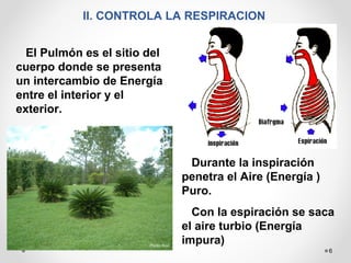 6
II. CONTROLA LA RESPIRACION
El Pulmón es el sitio del
cuerpo donde se presenta
un intercambio de Energía
entre el interior y el
exterior.
Durante la inspiración
penetra el Aire (Energía )
Puro.
Con la espiración se saca
el aire turbio (Energía
impura)
 
