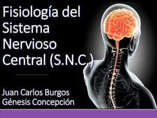 Fisiología del
Sistema
Nervioso
Central (S.N.C.)
Juan Carlos Burgos
Génesis Concepción
 