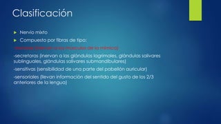 Clasificación
 Nervio mixto
 Compuesto por fibras de tipo:
-motoras (inervan a los músculos de la mímica)
-secretoras (inervan a las glándulas lagrimales, glándulas salivares
sublinguales, glándulas salivares submandibulares)
-sensitivas (sensibilidad de una parte del pabellón auricular)
-sensoriales (llevan información del sentido del gusto de los 2/3
anteriores de la lengua)
 