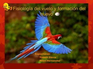 Fisiología del vuelo y formación del
huevo
Expositores:
Yuseth Sierra
Milán Hernandez
 