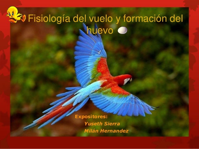 Fisiología del vuelo y formación del huevo de las aves