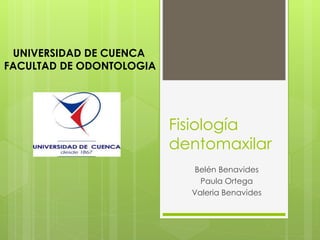 Fisiología 
dentomaxilar 
Belén Benavides 
Paula Ortega 
Valeria Benavides 
UNIVERSIDAD DE CUENCA 
FACULTAD DE ODONTOLOGIA 
 