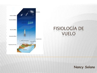 FISIOLOGÍA DE
VUELO
Nancy Solano
 