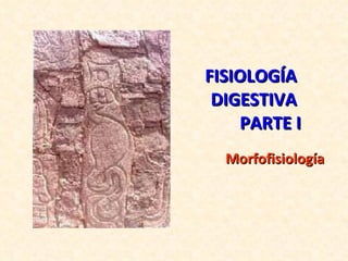 FISIOLOGÍA  DIGESTIVA  PARTE I Morfofisiología 