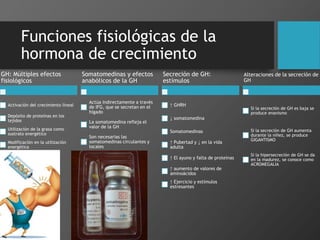 Funciones fisiológicas de la
hormona de crecimiento
GH: Múltiples efectos
fisiológicos
Activación del crecimiento lineal
Depósito de proteínas en los
tejidos
Utilización de la grasa como
sustrato energético
Modificación en la utilización
energética
Somatomedinas y efectos
anabólicos de la GH
Actúa indirectamente a través
de IFG, que se secretan en el
hígado
La somatomedina refleja el
valor de la GH
Son necesarias las
somatomedinas circulantes y
locales
Secreción de GH:
estímulos
↑ GHRH
↓ somatomedina
Somatomedinas
↑ Pubertad y ↓ en la vida
adulta
↑ El ayuno y falta de proteínas
↑ aumento de valores de
aminoácidos
↑ Ejercicio y estímulos
estresantes
Alteraciones de la secreción de
GH
Si la secreción de GH es baja se
produce enanismo
Si la secreción de GH aumenta
durante la niñez, se produce
GIGANTISMO
Si la hipersecreción de GH se da
en la madurez, se conoce como
ACROMEGALIA
 