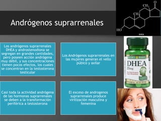 Andrógenos suprarrenales
Los andrógenos suprarrenales
DHEA y androstenodiona se
segregan en grandes cantidades,
pero poseen acción andrógena
muy débil, y sus concentraciones
tienen pocos efectos, los cuales
se concentran en la testosterona
testicular
Los Andrógenos suprarrenales en
las mujeres generan el vello
púbico y axilar
Casi toda la actividad andrógena
de las hormonas suprarrenales
se deben a la transformación
periférica a testosterona
El exceso de androgenos
suprarrenales produce
virilización masculina y
femenina
 
