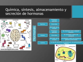 Química, síntesis, almacenamiento y
secreción de hormonas
Hormonas
Química
Proteínas-
péptidos
Esteroides
Derivados de la
tirosina
Síntesis
Proteínas-
péptidos
Se sintetizan como cualquier
proteína
Esteroides
Se sintetizan a partir del
colesterol
Derivados de la
tirosina
Se sintetiza a partir de tirosina en
glóbulos preformados
Control
La tasa de secreción se controla por retroalimentación
negativa
 