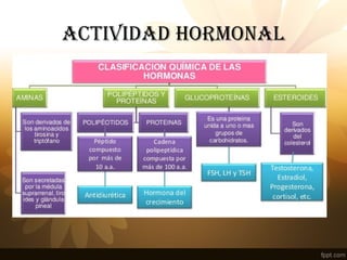 ACTIVIDAD HORMONAL
 