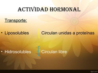 ACTIVIDAD HORMONAL
Transporte:
• Liposolubles Circulan unidas a proteínas
• Hidrosolubles Circulan libre
 
