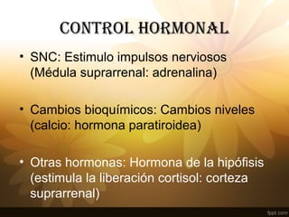 CONTROL HORMONAL
• SNC: Estimulo impulsos nerviosos
(Médula suprarrenal: adrenalina)
• Cambios bioquímicos: Cambios niveles
(calcio: hormona paratiroidea)
• Otras hormonas: Hormona de la hipófisis
(estimula la liberación cortisol: corteza
suprarrenal)
 