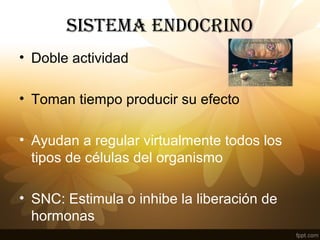 SISTEMA ENDOCRINO
• Doble actividad
• Toman tiempo producir su efecto
• Ayudan a regular virtualmente todos los
tipos de células del organismo
• SNC: Estimula o inhibe la liberación de
hormonas
 