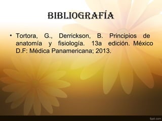 BIBLIOGRAFÍA
• Tortora, G., Derrickson, B. Principios de
anatomía y fisiología. 13a edición. México
D.F: Médica Panamericana; 2013.
 