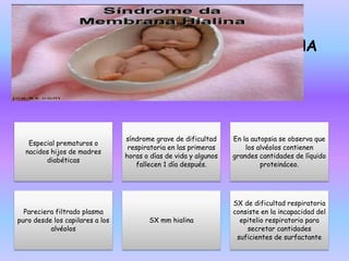 SÍNDROME DE DIFICULTAD
RESPIRATORIA CAUSADO POR UNA
CARENCIA DE SURFACTANTE
Especial prematuros o
nacidos hijos de madres
diabéticas
síndrome grave de dificultad
respiratoria en las primeras
horas o días de vida y algunos
fallecen 1 día después.
En la autopsia se observa que
los alvéolos contienen
grandes cantidades de líquido
proteináceo.
Pareciera filtrado plasma
puro desde los capilares a los
alvéolos
SX mm hialina
SX de dificultad respiratoria
consiste en la incapacidad del
epitelio respiratorio para
secretar cantidades
suficientes de surfactante
 