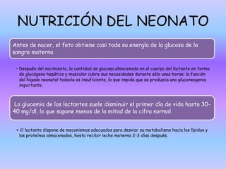NUTRICIÓN DEL NEONATO
Antes de nacer, el feto obtiene casi toda su energía de la glucosa de la
sangre materna
• Después del nacimiento, la cantidad de glucosa almacenada en el cuerpo del lactante en forma
de glucógeno hepático y muscular cubre sus necesidades durante sólo unas horas; la función
del hígado neonatal todavía es insuficiente, lo que impide que se produzca una gluconeogenia
importante.
La glucemia de los lactantes suele disminuir el primer día de vida hasta 30-
40 mg/dl, lo que supone menos de la mitad de la cifra normal.
• El lactante dispone de mecanismos adecuados para desviar su metabolismo hacia los lípidos y
las proteínas almacenadas, hasta recibir leche materna 2-3 días después.
 
