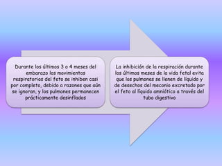 Durante los últimos 3 o 4 meses del
embarazo los movimientos
respiratorios del feto se inhiben casi
por completo, debido a razones que aún
se ignoran, y los pulmones permanecen
prácticamente desinflados
La inhibición de la respiración durante
los últimos meses de la vida fetal evita
que los pulmones se llenen de líquido y
de desechos del meconio excretado por
el feto al líquido amniótico a través del
tubo digestivo
 