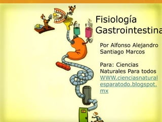 Fisiología 
Gastrointestinal. 
Por Alfonso Alejandro 
Santiago Marcos 
Para: Ciencias 
Naturales Para todos 
WWW.cienciasnatural 
esparatodo.blogspot. 
mx 
 
