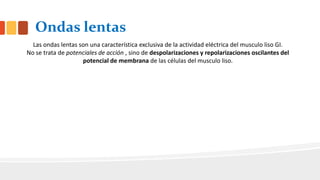 Ondas lentas
Las ondas lentas son una característica exclusiva de la actividad eléctrica del musculo liso GI.
No se trata de potenciales de acción , sino de despolarizaciones y repolarizaciones oscilantes del
potencial de membrana de las células del musculo liso.
 