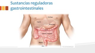 Sustancias reguladoras
gastrointestinales
 