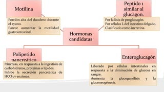 Hormonas candidatas
En el trato intestinal también se segregan otras hormonas catalogadas
como candidatas debido a que no cumplen con 1 o 2 criterios para
tomarse como tal.
Estas son:
Hormonas
candidatas
Motilina
Polipetido
pancreático
Enteroglucagón
Peptido 1
similar al
glucagon.
Porción alta del duodeno durante
el ayuno.
Parece aumentar la motilidad
gastrointestinal.
Páncreas, en respuesta a la ingestión de
carbohidratos, proteínas o lípidos.
Inhibe la secreción pancreática de
HCO3 y enzimas.
Liberado por células intestinales en
respuesta a la diminución de glucosa en
sangre.
Aumenta la glucogenólisis y la
gluconeogénesis.
Por la lisis de proglucagón.
Por células L del intestino delgado.
Clasificado como incretina.
 