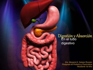 En el tubo
digestivo
Dra. Margaret A. Salazar Russian
Postgrado de Pediatría y Puericultura
Residente 1er Año
 