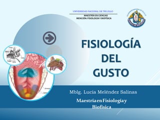FISIOLOGÍA
DEL
GUSTO
Mblg. Lucía Meléndez Salinas
MaestríaenFisiologíay
Biofísica
_________________________________________
MAESTRÍA EN CIENCIAS
MENCIÓN: FISIOLOGÍA Y BIOFÍSICA
UNIVERSIDAD NACIONAL DE TRUJILLO
 