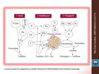 Rev Esp Cardiol. 2007;60(12):1217-9
La nueva cascada de la coagulación y su posible influencia en el difícil equilibrio entre trombosis y hemorragia
 
