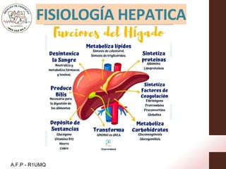 FISIOLOGÍA HEPATICA
A.F.P - R1UMQ
 