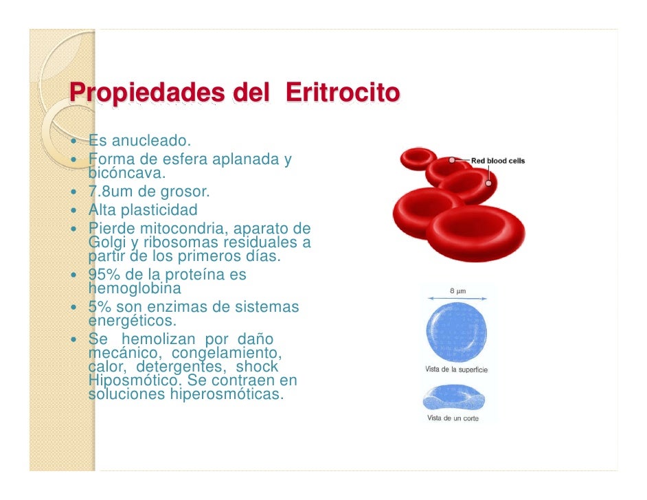 FisiologíA Ii Unidad 3 Sangre Eritrocitos, Anemia Y Policitemia