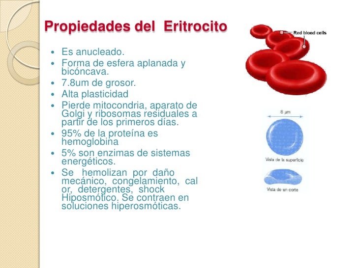 Unidad 3 Sangre Eritrocitos Anemia Y Policitemia