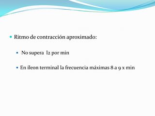  Ritmo de contracción aproximado:
 No supera l2 por min
 En íleon terminal la frecuencia máximas 8 a 9 x min
 