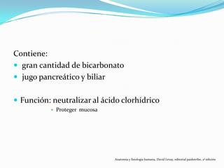 Contiene:
 gran cantidad de bicarbonato
 jugo pancreático y biliar
 Función: neutralizar al ácido clorhídrico
 Proteger mucosa
Anatomía y fisiología humana, David Levay, editorial paidotribo, 2ª edición
 