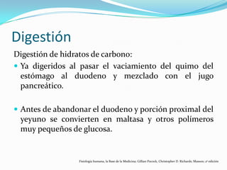 Digestión
Digestión de hidratos de carbono:
 Ya digeridos al pasar el vaciamiento del quimo del
estómago al duodeno y mezclado con el jugo
pancreático.
 Antes de abandonar el duodeno y porción proximal del
yeyuno se convierten en maltasa y otros polímeros
muy pequeños de glucosa.
Fisiología humana, la Base de la Medicina; Gillian Pocock, Christopher D. Richards; Masson; 2ª edición
 