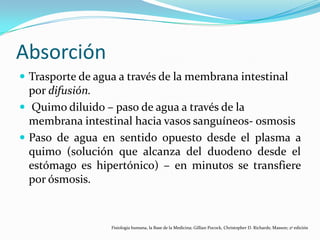 Absorción
 Trasporte de agua a través de la membrana intestinal
por difusión.
 Quimo diluido – paso de agua a través de la
membrana intestinal hacia vasos sanguíneos- osmosis
 Paso de agua en sentido opuesto desde el plasma a
quimo (solución que alcanza del duodeno desde el
estómago es hipertónico) – en minutos se transfiere
por ósmosis.
Fisiología humana, la Base de la Medicina; Gillian Pocock, Christopher D. Richards; Masson; 2ª edición
 