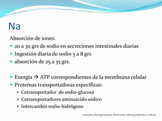 Na
Absorción de iones:
 20 a 30 grs de sodio en secreciones intestinales diarias
 Ingestión diaria de sodio 5 a 8 grs
 absorción de 25 a 35 grs.
 Energía  ATP correspondientes de la membrana celular
 Proteínas transportadoras específicas:
 Cotransportador de sodio-glucosa
 Cotransportadores aminoácido sódico
 Intercambió sodio-hidrógeno
Anatomía y fisiología humana, David Levay, editorial paidotribo, 2ª edición
 