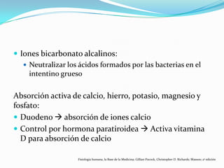  Iones bicarbonato alcalinos:
 Neutralizar los ácidos formados por las bacterias en el
intentino grueso
Absorción activa de calcio, hierro, potasio, magnesio y
fosfato:
 Duodeno  absorción de iones calcio
 Control por hormona paratiroidea  Activa vitamina
D para absorción de calcio
Fisiología humana, la Base de la Medicina; Gillian Pocock, Christopher D. Richards; Masson; 2ª edición
 
