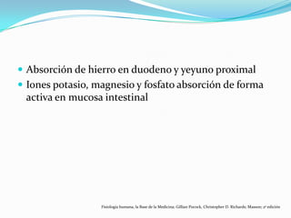  Absorción de hierro en duodeno y yeyuno proximal
 Iones potasio, magnesio y fosfato absorción de forma
activa en mucosa intestinal
Fisiología humana, la Base de la Medicina; Gillian Pocock, Christopher D. Richards; Masson; 2ª edición
 