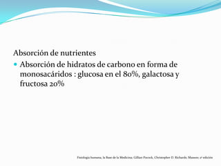 Absorción de nutrientes
 Absorción de hidratos de carbono en forma de
monosacáridos : glucosa en el 80%, galactosa y
fructosa 20%
Fisiología humana, la Base de la Medicina; Gillian Pocock, Christopher D. Richards; Masson; 2ª edición
 