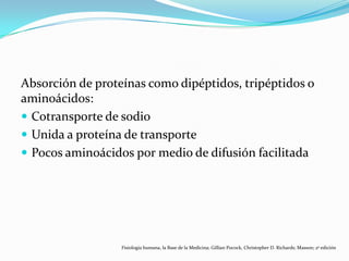 Absorción de proteínas como dipéptidos, tripéptidos o
aminoácidos:
 Cotransporte de sodio
 Unida a proteína de transporte
 Pocos aminoácidos por medio de difusión facilitada
Fisiología humana, la Base de la Medicina; Gillian Pocock, Christopher D. Richards; Masson; 2ª edición
 