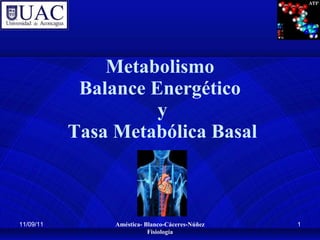 Metabolismo Balance Energético  y  Tasa Metabólica Basal 11/09/11 11/09/11 Améstica- Blanco-Cáceres-Núñez Fisiología 