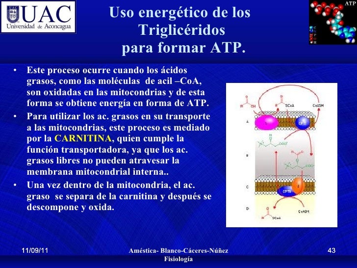 Aprender más sobre Ibuprofeno metabolismo