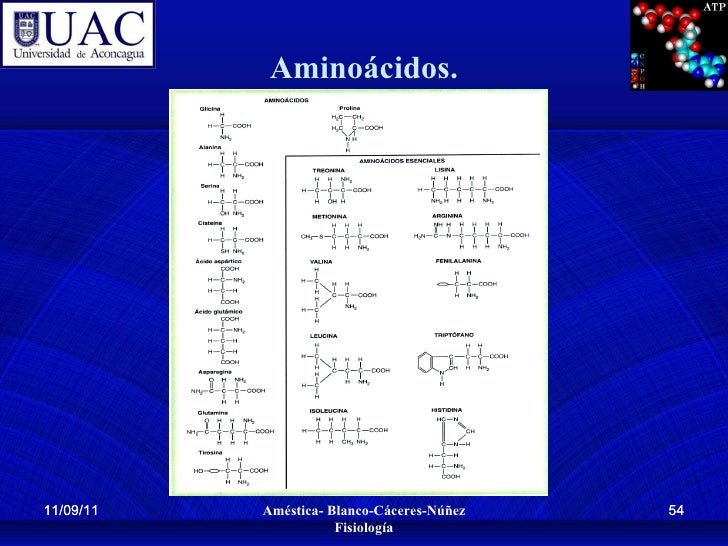 lecciones importantes sobre dolor muscular brazo derecho