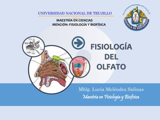 UNIVERSIDAD NACIONAL DE TRUJILLO 
__________________________________________ 
FISIOLOGÍA 
DEL 
OLFATO 
____ 
MAESTRÍA EN CIENCIAS 
MENCIÓN: FISIOLOGÍA Y BIOFÍSICA 
Mblg. Lucía Meléndez Salinas 
Maestría en Fisiología y Biofísica 
 