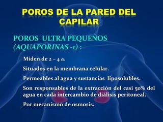 POROS DE LA PARED DEL CAPILARPOROS  ULTRA PEQUEÑOS (AQUAPORINAS -1) :Miden de 2 – 4 a.	Situados en la membrana celular.	Permeables al agua y sustancias  liposolubles.	Son responsables de la extracción del casi 50% del agua en cada intercambio de diálisis peritoneal.	Por mecanismo de osmosis.