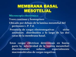 MEMBRANA BASAL MESOTELIALMicroscopia electrónica:Trazo continuo y homogéneoUbicado por debajo de la lamina mesotelial del peritoneo v. P. Y d. Presencia de cargas electronegativas          sitios aniónicos  distribuidos a lo largo de las dos caras de la membrana basal. Estas cargas eléctricas determinan en buena parte la  selectividad de la lámina mesotelial; discriminando solutos especialmente macromoléculas de cargas negativas